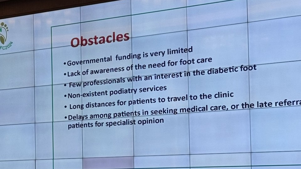 Audience at the Saudi Diabetic Foot Conference reviewing barriers to diabetic foot care